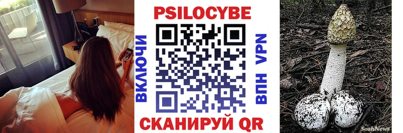 как найти наркотики  маркетплейс телеграм  Псилоцибиновые грибы ЛСД  Западная Двина 