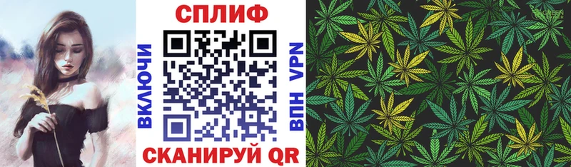 где продают наркотики  Западная Двина  ОМГ ОМГ ССЫЛКА  Бошки марихуана Amnesia 